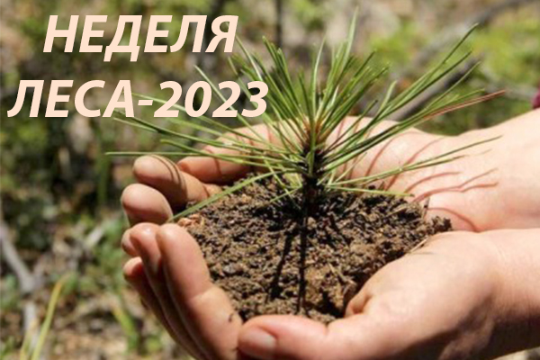 НЕДЕЛЯ ЛЕСА-2023